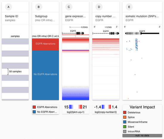 visual spreadsheet showing EGFR abberations in TCGA LUAD